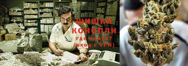 бошки Бронницы