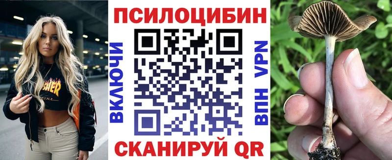 Галлюциногенные грибы MAGIC MUSHROOMS  купить наркоту  Гаджиево 