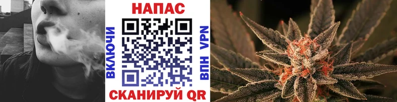 купить наркоту  Гаджиево  Шишки марихуана Ganja 